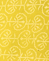 Kota Doria Dupatta